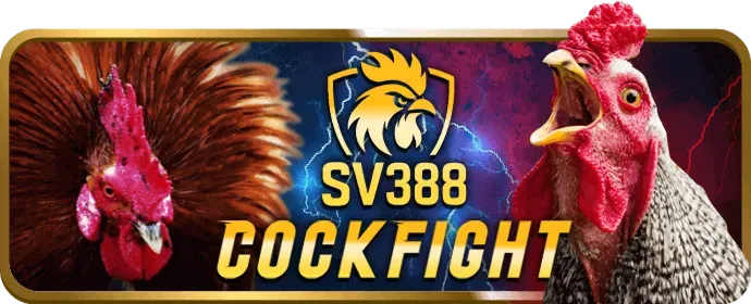 Ưu đãi VIP Dabet Nổ Hũ